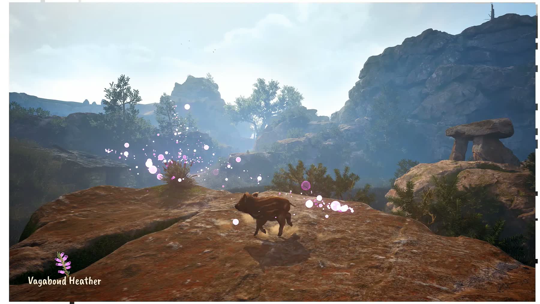 Adorable Adventures Turns a Baby Boar's Search Into a Cozy PC and Console Launch