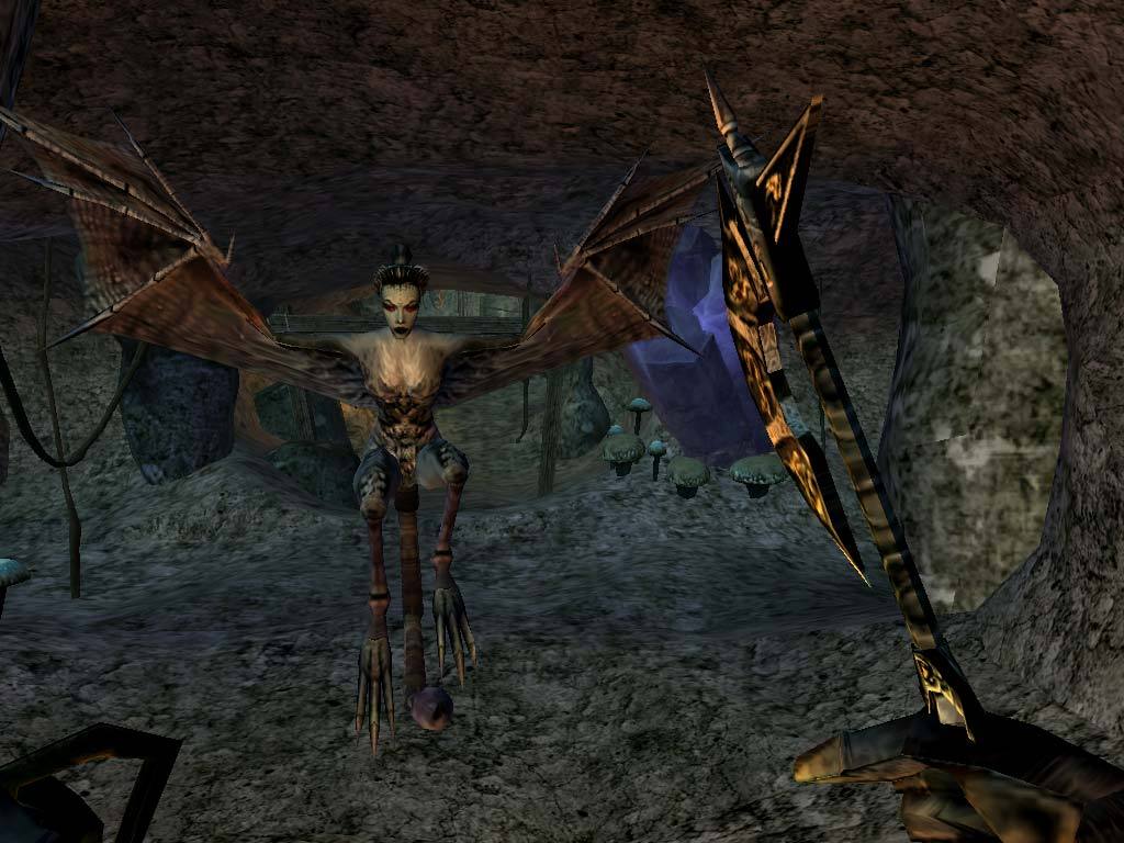 A first-person battle against a winged creature in a Morrowind cave