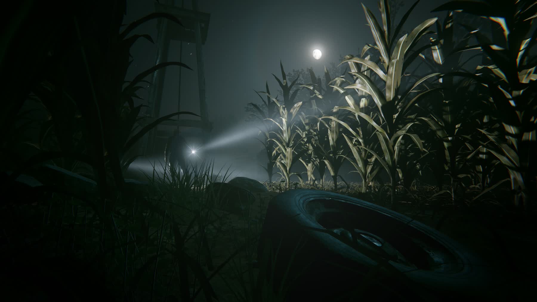 A dark cornfield in Outlast 2 lit by flashlights and moonlight